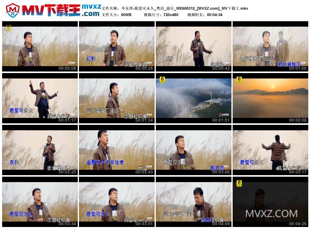 岑东泽-愿爱可永久_粤语_流行_ME600312